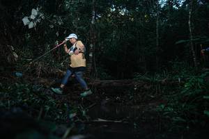 BIB: 
                            <button type="button" onclick="openModal(22442488)" class="btn btn-primary btn-sm float-right btn-popup" data-toggle="modal" data-target=".modal-high-quality">
                        <i class="fas fa-shopping-cart"></i> Add to Cart
                    </button>
                                            <button type="button" onclick="isThisMe(22442488, true)" class="btn btn-success btn-sm float-right btn-popup btn-isme hidden" data-toggle="tooltip" data-placement="bottom" title="นี่คือรูปของคุณใช่ไหม คลิกที่นี่เพื่อเอาเข้าอัลบั้ม">
                        <i class="fas fa-plus"></i> Add to album
                    </button>
                    <button type="button" onclick="isThisMe(22442488, false)" class="btn btn-warning btn-sm float-right btn-popup btn-isnotme hidden">
                        <i class="fas fa-ban"></i> Remove from album
                    </button>